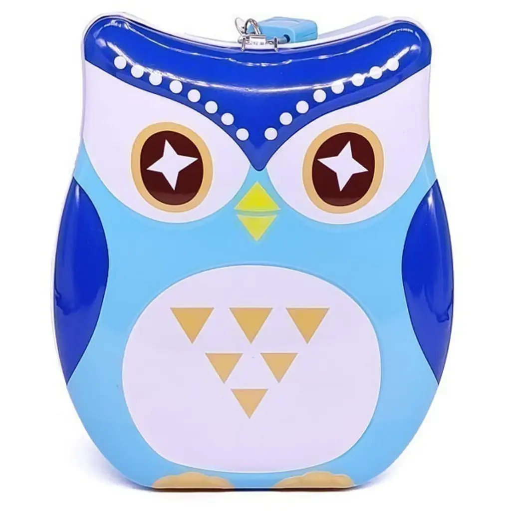 Cute & Colorful Owl Shaped Metal Piggy Bank with Secure Lock & Keys for Kids, Attractive Bird Themed Money Saving Storage, Coin Collection Box for Girls, Children (Pack of 1, Multicolor)